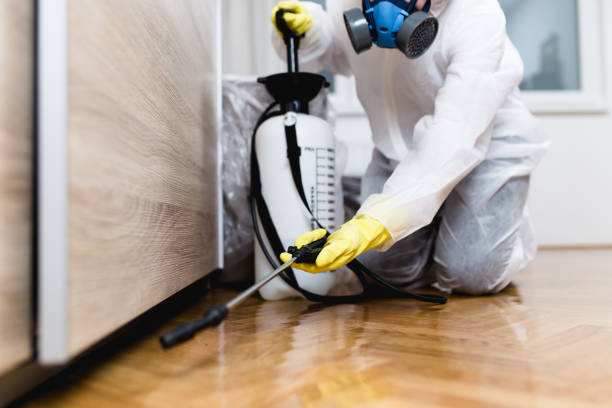 Best Mosquito Control Services  in Silver Springs, FL