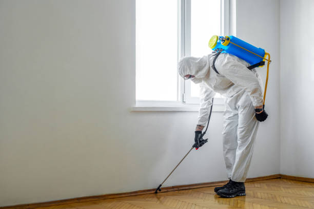 Best Flea Control Services  in Silver Springs, FL