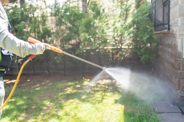 Wildlife Control Services in Silver Springs, FL