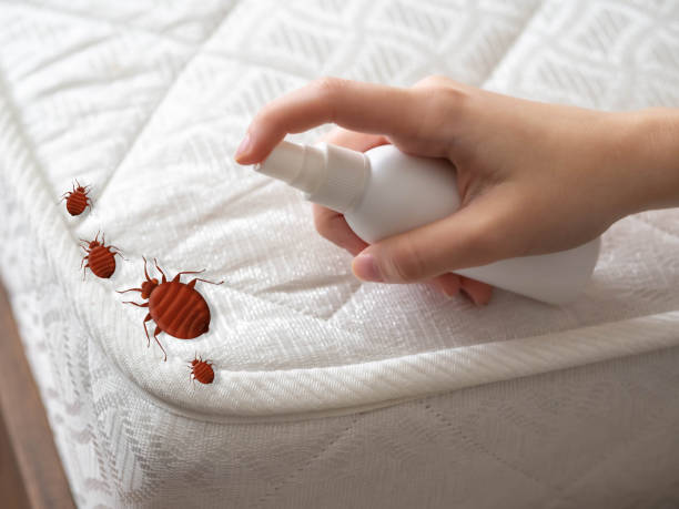 Best Commercial Pest Control Services  in Silver Springs, FL